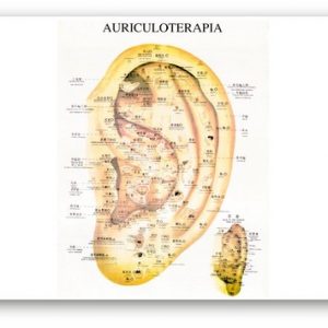 auriculoterapia-500x355